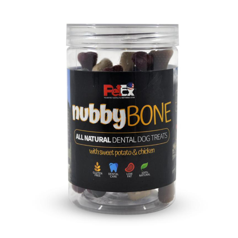 פטקס עצם דנטלי עצם נובי